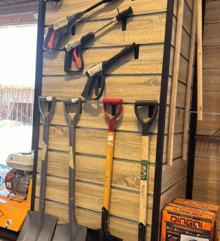 WhatsApp Image 2025-12-11 at 11.36.08 AM